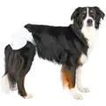 Produktbild: TRIXIE Hundetoilette Trixie Hundewindeln für Hündinnen Größe: L L