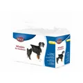 Produktbild: Windeln Trixie 23635 Hund