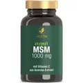Produktbild: MSM 1000 mg