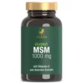 Produktbild: Vitactiv MSM 1000 + Vitamin C