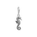 Produktbild: THOMAS SABO Charm-Anhänger Seepferdchen 925 Sterlingsilber 1886-643-14