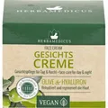 Produktbild: GESICHTSCREME Olive & Hyaluron 50 ml PZN12360867
