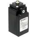 Produktbild: Pizzato Elettrica FR 501-M2 FR 501-M2 Endschalter 250 V/AC 6 A Stößel tastend...
