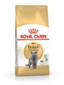 Produktbild: Royal Canin FBN British Shorthair Adult dry cat food - 10 kg
