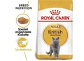 Produktbild: ROYAL CANIN British Shorthair Adult 10 kg