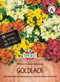 Produktbild: Mein schöner Garten DE SPERLI Goldlack-Samen 'Chubado Mischung', bunt EH001613-001