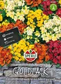 Produktbild: Goldlack, Sperling´s Chupado Mischung