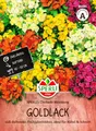 Produktbild: Sperli Goldlacksamen SPERLI's Chubado Mischung 85485 - bunt blühende Duftblume mit veilchenähnlichem Duft, Blumensamen-Mix, farbenfrohe Blüten, bienenfreundlich, Blumensamen, Saatgut