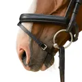 Produktbild: Pferdelinis Sperrriemen Pferd, Ersatz-Sperrriemen für Trense Pferd aus schwarzem Leder – Größen Pony, Cob, Warmblut, Kaltblut mit Edelstahlschnalle (Schwarz, Kaltblut (X-Full))