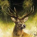 Produktbild: 5etta Servietten Red Deer, 20er-Pack