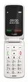 Produktbild: 2G Smartphone 7,11 cm (2.8 Zoll) 0,3 MP Single SIM (Pearl white) GL595