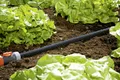 Produktbild: Gardena Perl-Regner 15 m