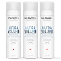 Produktbild: Goldwell Dualsenses Ultra Volume Bodifying Trockenshampoo 3x250ml= 750ml