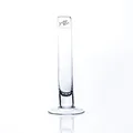 Produktbild: Sandra Rich 6er Set Reagenzgläser Glasvasen SOLIFLEUR mit Fuss H. 20cm D. 3cm