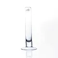 Produktbild: 6er SET Reagenzgläser Glasvasen SOLIFLEUR mit Fuss H. 20cm D. 3cm Sandra Rich
