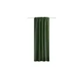 Produktbild: HOMEbasics Fertigschal   , grün , Maße (cm): B: 135 H: 225
