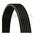 Produktbild: Continental Ctam 6PK1590 Keilrippenriemen für Opel Seat Audi Citroën Renault