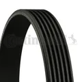 Produktbild: 6PK1590 CONTINENTAL CTAM Riemen Poly-V für Audi, Citroën, Fiat, Ford, Lancia,