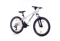 Produktbild: BERLIN BIKE Kinderfahrrad 24 Zoll Mountainbike, leichtes Aluminiumrahmen, 21 Gang Shimano RD-TY300/TY500 Schaltwerk, Kettenschaltung, (Aluminiumrahmen & V-Bremsen – leicht, stabil, sicher), mit 24