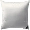Produktbild: Billerbeck Ambiente Kissen - 80x80cm