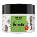 Produktbild: Murmelin Arlberger Murmeltiersalbe · 200 ml · PZN 13834882