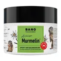 Produktbild: Murmelin Arlberger Murmeltiersalbe · 200 ml · PZN 13834882