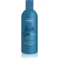 Produktbild: Ziaja Gdan Skin schützendes und feuchtigkeitsspendendes Shampoo 300 ml