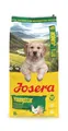 Produktbild: JOSERA Junior YoungStar Huhn & Kartoffel (1 x 12,5 kg) | Premium Trockenfutter für wachsende Hunde | Welpenfutter für mittlere & große Rassen zur optimalen Versorgung | getreidefrei | 1er Pack