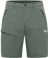 Produktbild: Jack Wolfskin Trekkingshorts PICO TRAIL SHORTS M SLATE GREEN