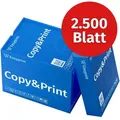 Produktbild: Easyprint Druckerpapier Kopierpapier 2500 Blatt 5 x 500 A4 Premium Hochweiß CIE 160 PEFC