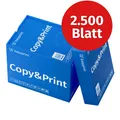 Produktbild: Druckerpapier Kopierpapier 2500 Blatt A4 Hochweiß PEFC-Zertifikat Easyprint