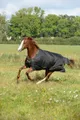 Produktbild: Bucas Outdoordecke 150g Irish Turnout Weidedecke Black/Gold 155