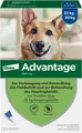 Produktbild: Advantage Spot-On 400 gegen Flöhegroße Hunde 1X4 St