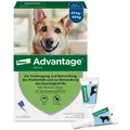 Produktbild: ADVANTAGE 400 Lösung Pipetten f.Hunde ab 25 kg 1X4 St