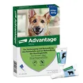 Produktbild: Elanco Advantage® Spot-On 400 für große Hunde von 25 bis 40 kg Körpergewicht, schnelle Bekämpfung und Schutz von Flöhen bis zu 4 Wochen, einfache Spot-on-Anwendung, 4 Pipetten mit 4 ml Lösung