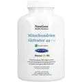 Produktbild: MITOCHONDRIEN Aktivator 44+14 Multi-Komplex Kaps. 240 St