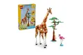 Produktbild: LEGO® CREATOR 31150 TIERSAFARI NEU OVP