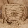 Produktbild: vidaXL Seil 100 % Jute 10 mm 250 m