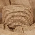 Produktbild: vidaXL Seil 100 % Jute 10 mm 250 m