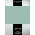 Produktbild: Janine Jersey Elastic Spannbetttuch 140x200 cm - 160x220 cm | rauchgrün - grün