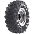 Produktbild: ASCENSO 600/70 R 30 TL 152D XLR 880 R1-W R39842155