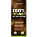 Produktbild: Sante Pflanzenhaarfarbe MARONENBRAUN 08   100 g