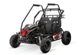 Produktbild: Smarty Elektro-Kinderquad Gokart 212cc Automatik midi Kinder Buggy Forest PRM