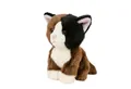 Produktbild: Teddys Rothenburg Kuscheltier Katze dunkelbraun/schwarz/weiß 18 cm Plüschtier Stoffkatze (Plüschkatze, Stofftier, Kätzchen, Babykatze, Katzenbaby)