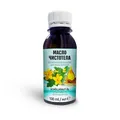 Produktbild: Schöllkraut Öl Pflanzenöl Ätherisches Öl 100 ml Масло Чистотела косметическое