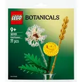 Produktbild: LEGO Botanicals Feldblumen Polybeutel Set 30701