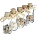 Produktbild: Muschel Deko Fläschchen, 5er Set Muschel-mix, Maritime Bad Dekoration, Sea Shells, Mini Glasflaschen, Natur - Relaxdays