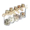 Produktbild: Muschel deko Mini Glasfläschchen 5 Stück Naturmaterial Muschel Deko Fläschchen