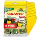 Produktbild: Neudorff Klebefalle Gelb-Sticker, gegen kleine fliegende Schädlinge wie Trauermücken, insektizid frei