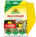 Produktbild: Neudorff Gelbsticker, Gelbfallen gg Trauermücken und andere fliegende Schädlinge